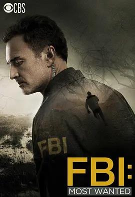 联邦调查局：通缉要犯第一季第02集
