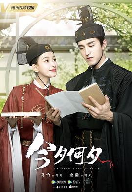 今夕何夕2020第16集