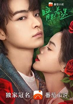 暗里着迷第05集