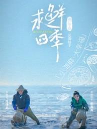 求鲜四季20240313期