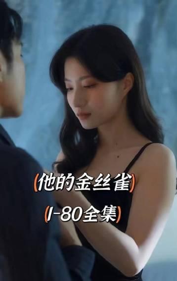 他的金丝雀第47集