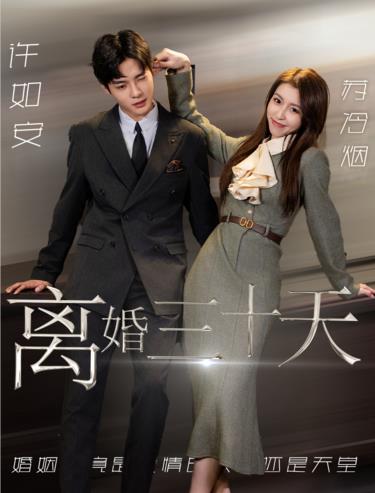 离婚三十天第04集