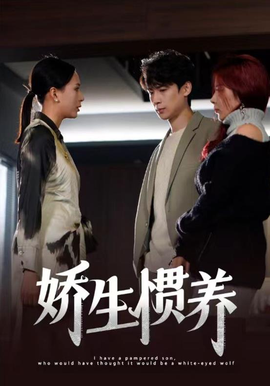 娇生惯养第15集(大结局)