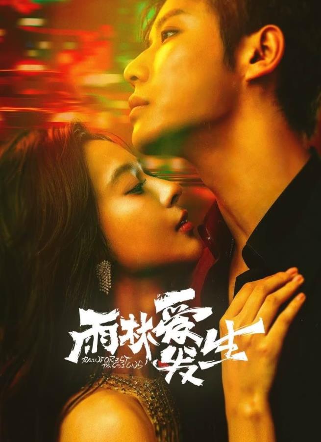 雨林爱发生第12集