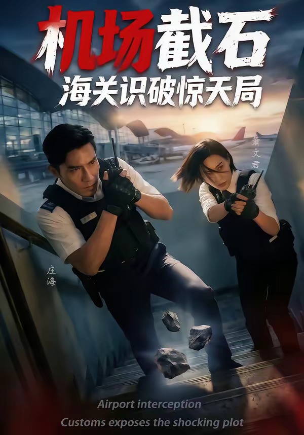 机场截石，海关识破惊天局(全集)
