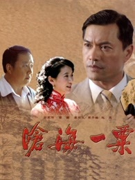 沧海一粟第12集